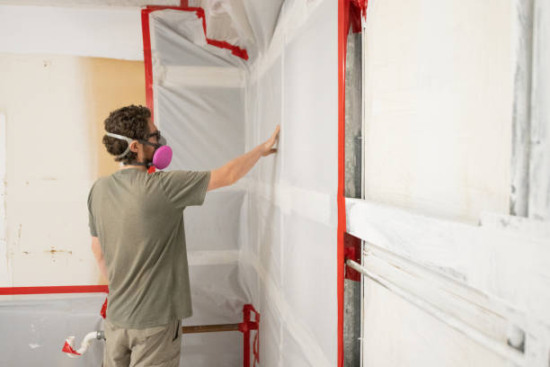 Mold Documentation for Insurance Claims in Ladue, MO